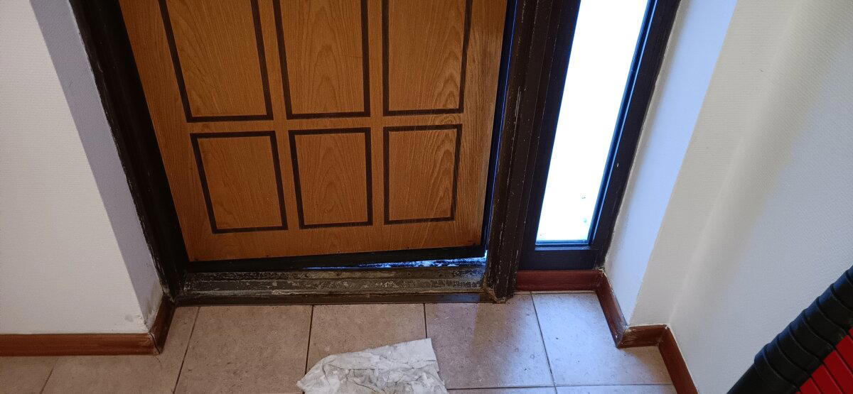 Вот те раз - грибной каркас! Отчёт по результатам обследования 20-летнего элитного финского каркасного дома