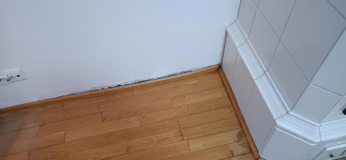 Вот те раз - грибной каркас! Отчёт по результатам обследования 20-летнего элитного финского каркасного дома