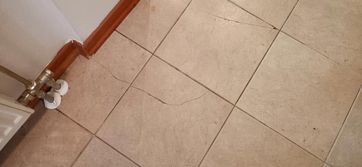 Вот те раз - грибной каркас! Отчёт по результатам обследования 20-летнего элитного финского каркасного дома