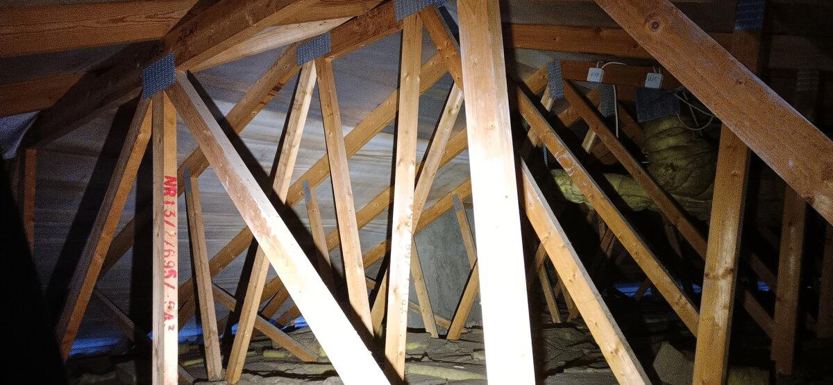 Вот те раз - грибной каркас! Отчёт по результатам обследования 20-летнего элитного финского каркасного дома