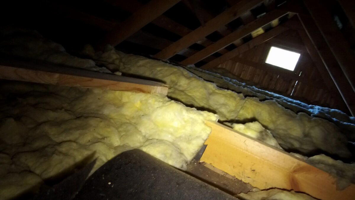 Я минвата, я не виновата!