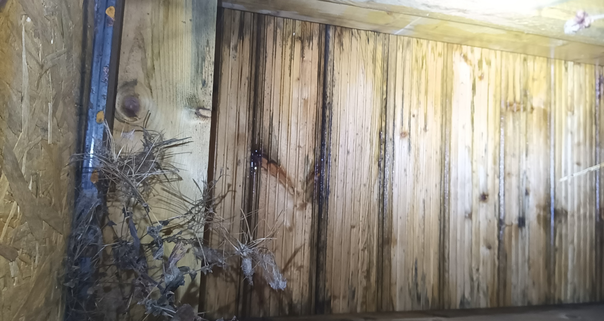 Вложились в брускоины. Часть I. Как щеледома пробили брешь в ипотечных бюджетах неудачливых инвесторов. И обогатили одну хитрую девелоперку