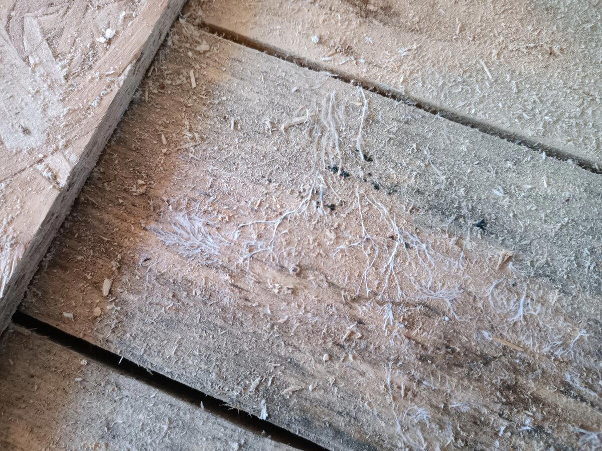 Вложились в брускоины. Часть I. Как щеледома пробили брешь в ипотечных бюджетах неудачливых инвесторов. И обогатили одну хитрую девелоперку