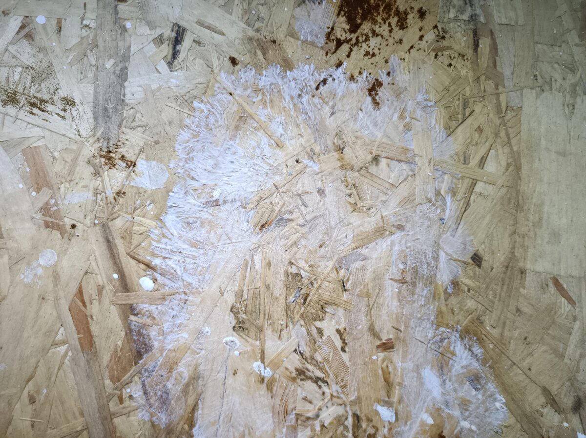 Вложились в брускоины. Часть I. Как щеледома пробили брешь в ипотечных бюджетах неудачливых инвесторов. И обогатили одну хитрую девелоперку