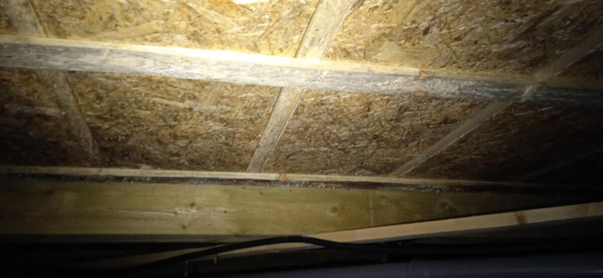 Обследование свежего каркасника, который мы с заказчиком купили, несмотря на косяки