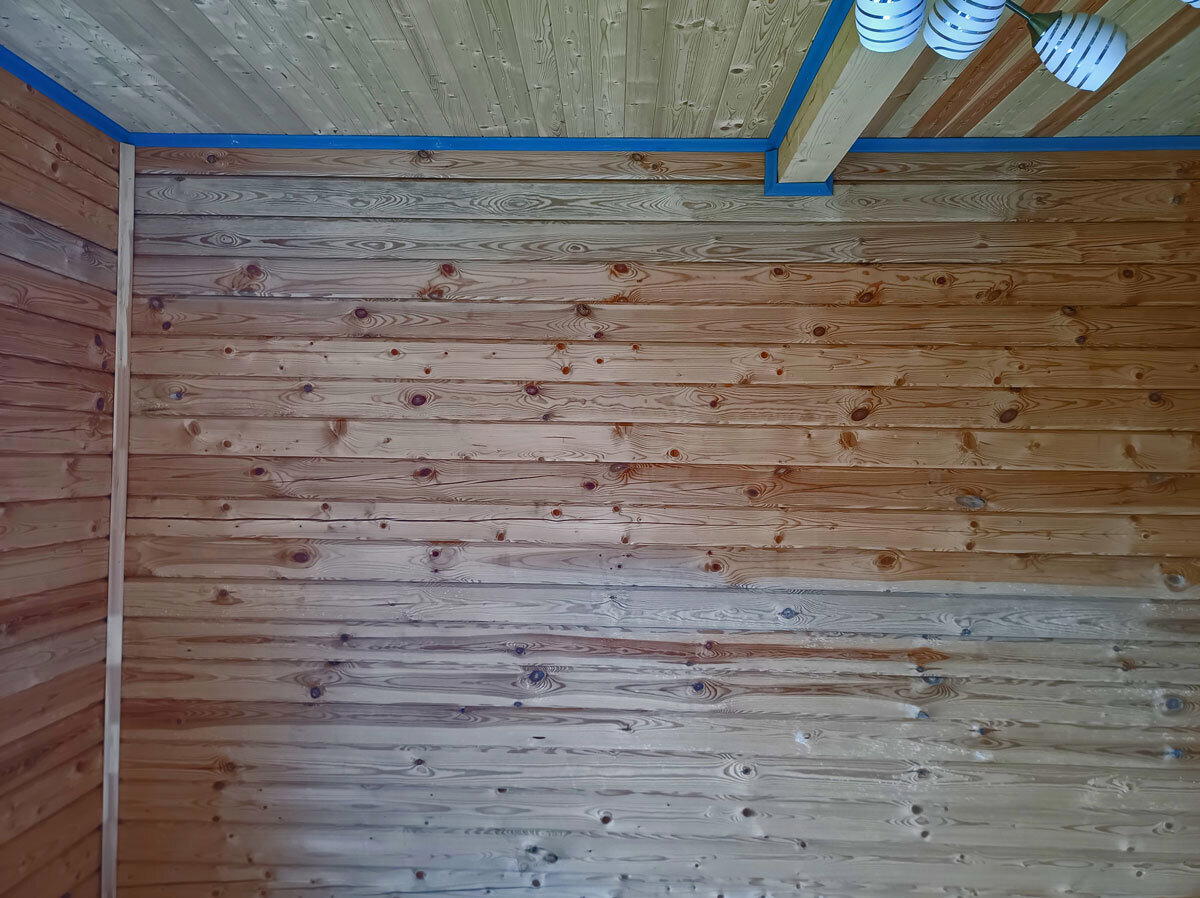 Мы типа грибы, типа грибы! Поднялась влажность в срубе и мы растём! Как я спас заказчиков от аспергиллёза