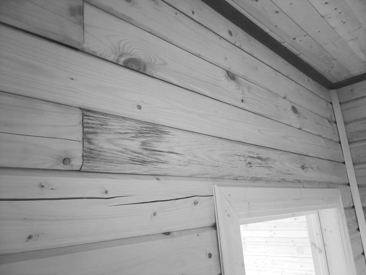 Тут плесень гоняли, но она ушла в стык и вернулась оттуда.