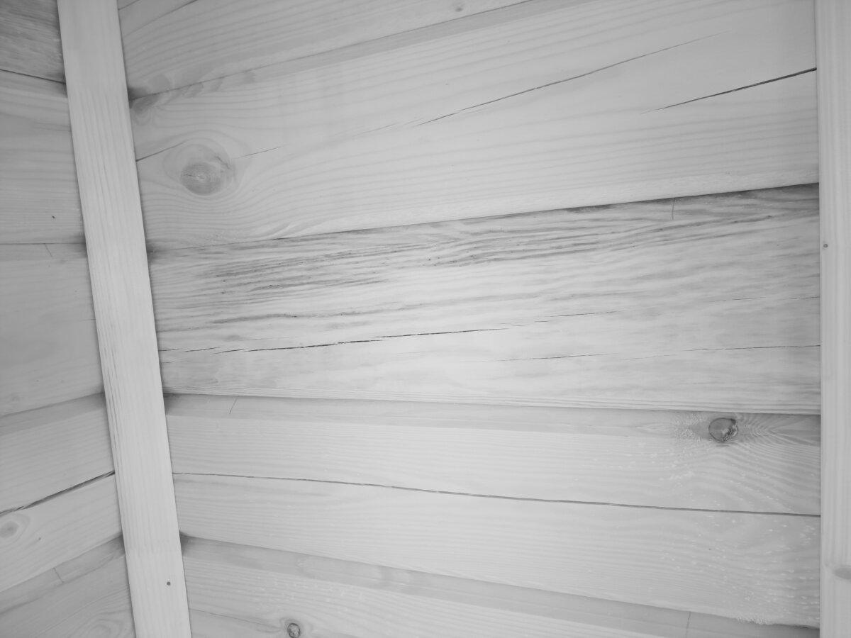 Мы типа грибы, типа грибы! Поднялась влажность в срубе и мы растём! Как я спас заказчиков от аспергиллёза