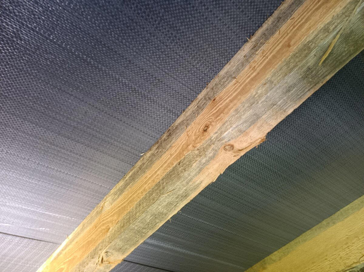 Мы типа грибы, типа грибы! Поднялась влажность в срубе и мы растём! Как я спас заказчиков от аспергиллёза