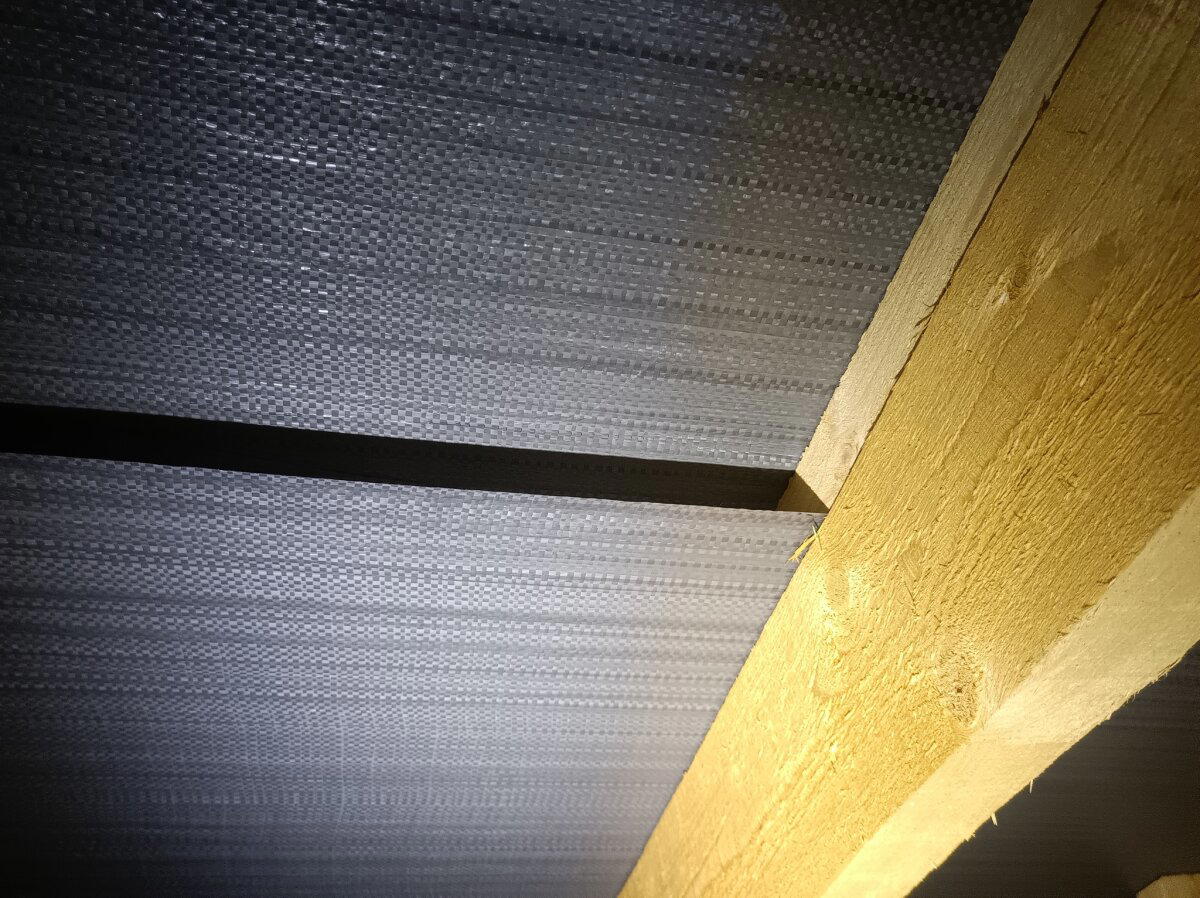 Мы типа грибы, типа грибы! Поднялась влажность в срубе и мы растём! Как я спас заказчиков от аспергиллёза