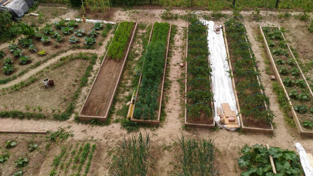 7 лет с женой в деревне. История становления сельпанов