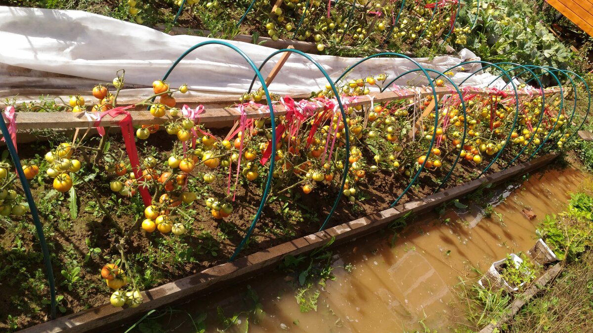 7 лет с женой в деревне. История становления сельпанов