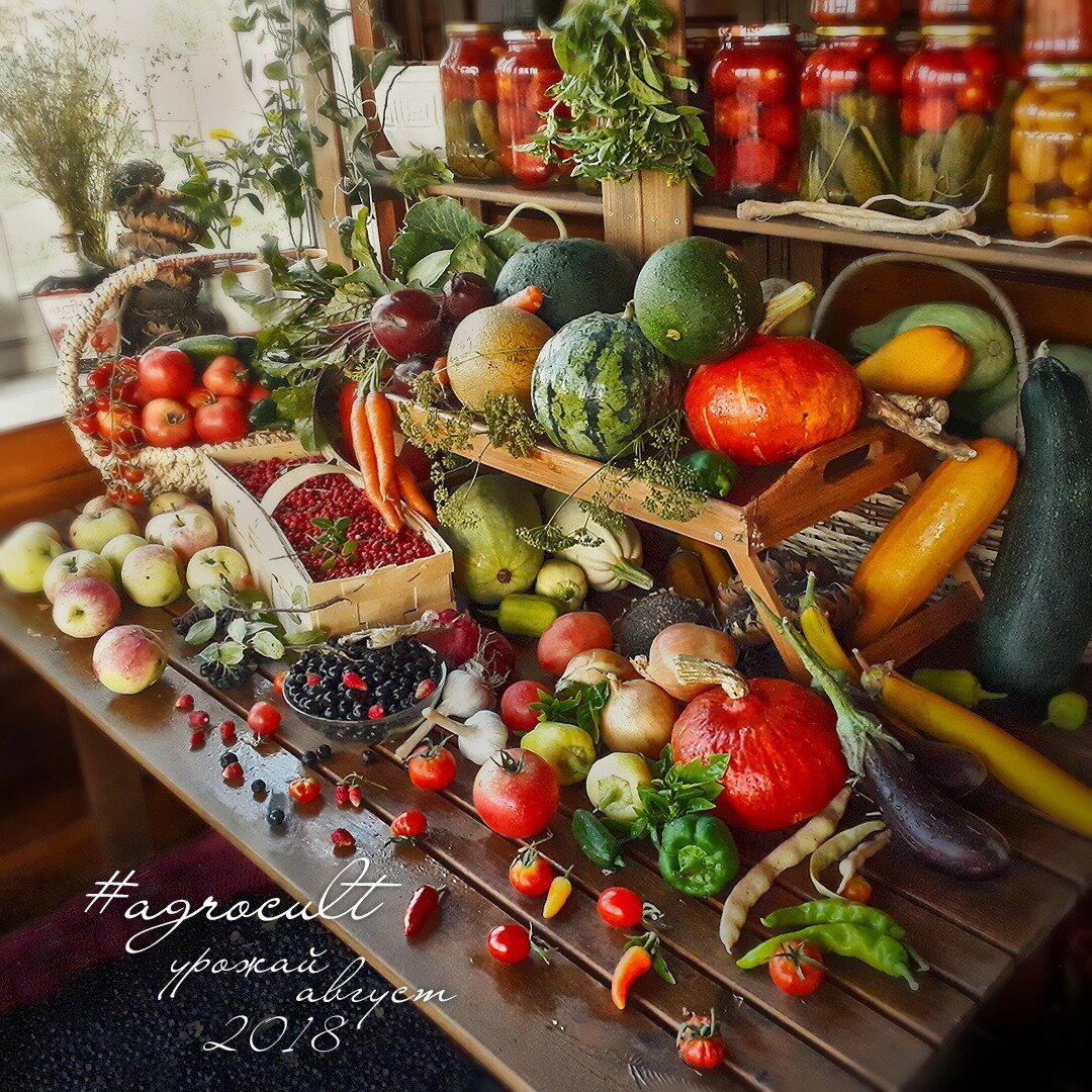 7 лет с женой в деревне. История становления сельпанов