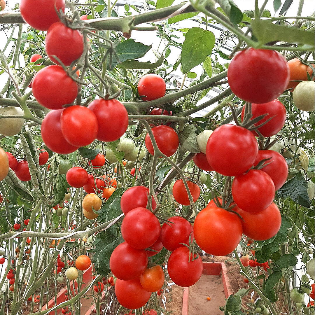 7 лет с женой в деревне. История становления сельпанов