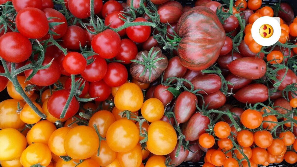 7 лет с женой в деревне. История становления сельпанов