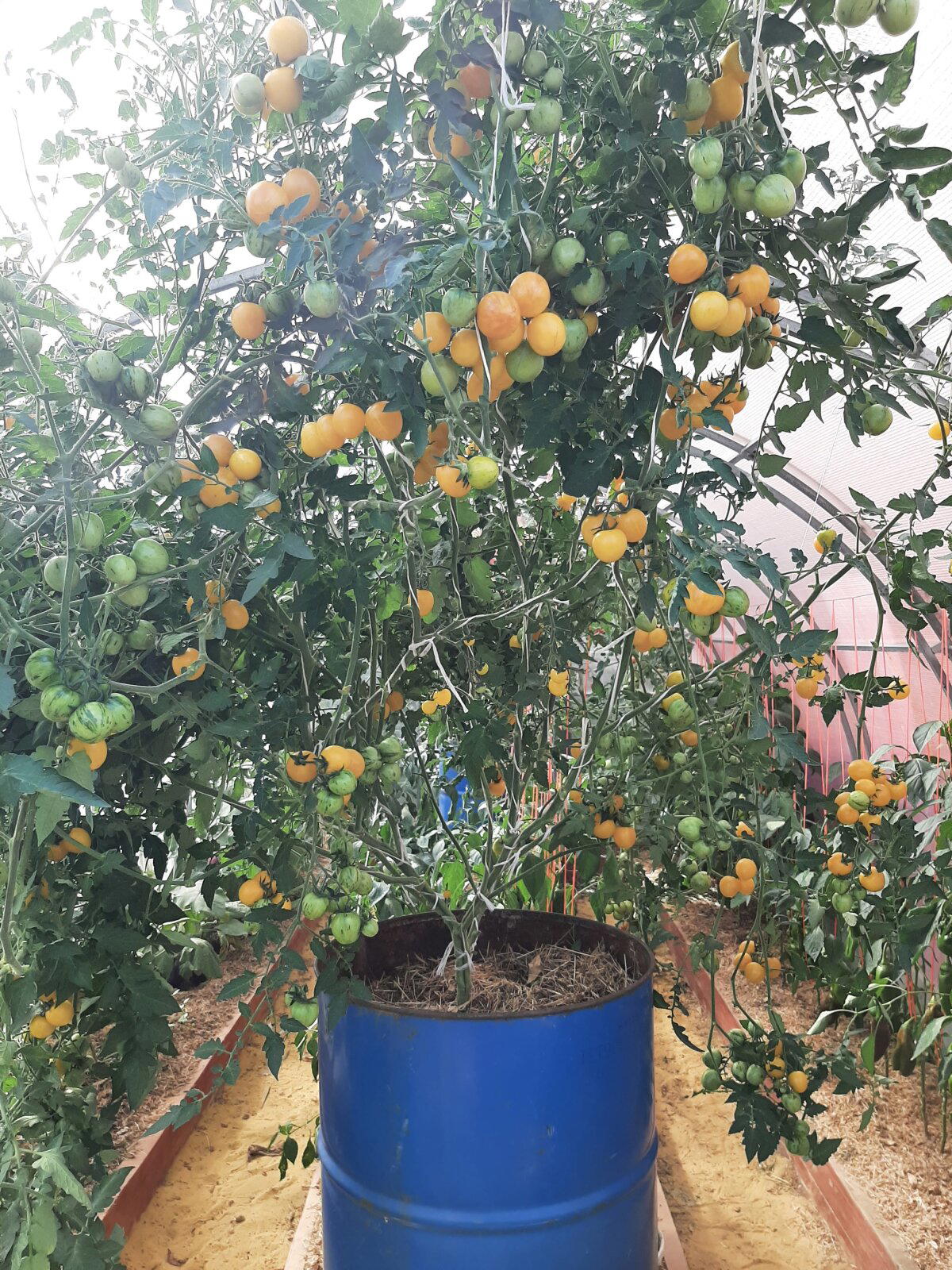 7 лет с женой в деревне. История становления сельпанов