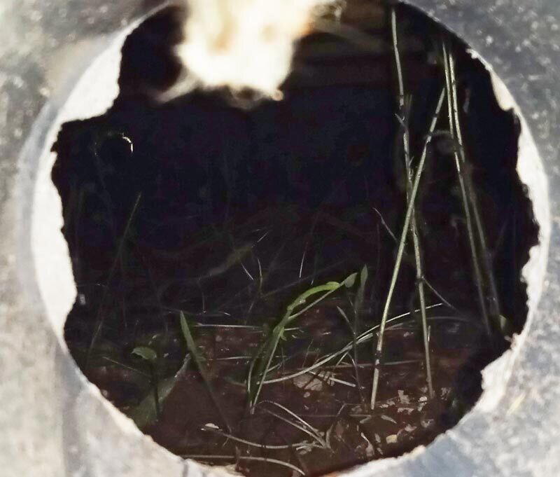 Технадзор бюджетного каркасного новостроя