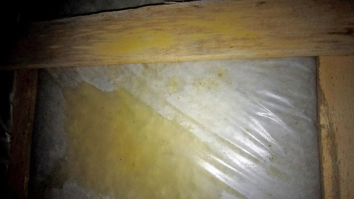 Пароизоляция и гидроветрозащита в загородном доме. Зачем они нужны и почему важно их не путать