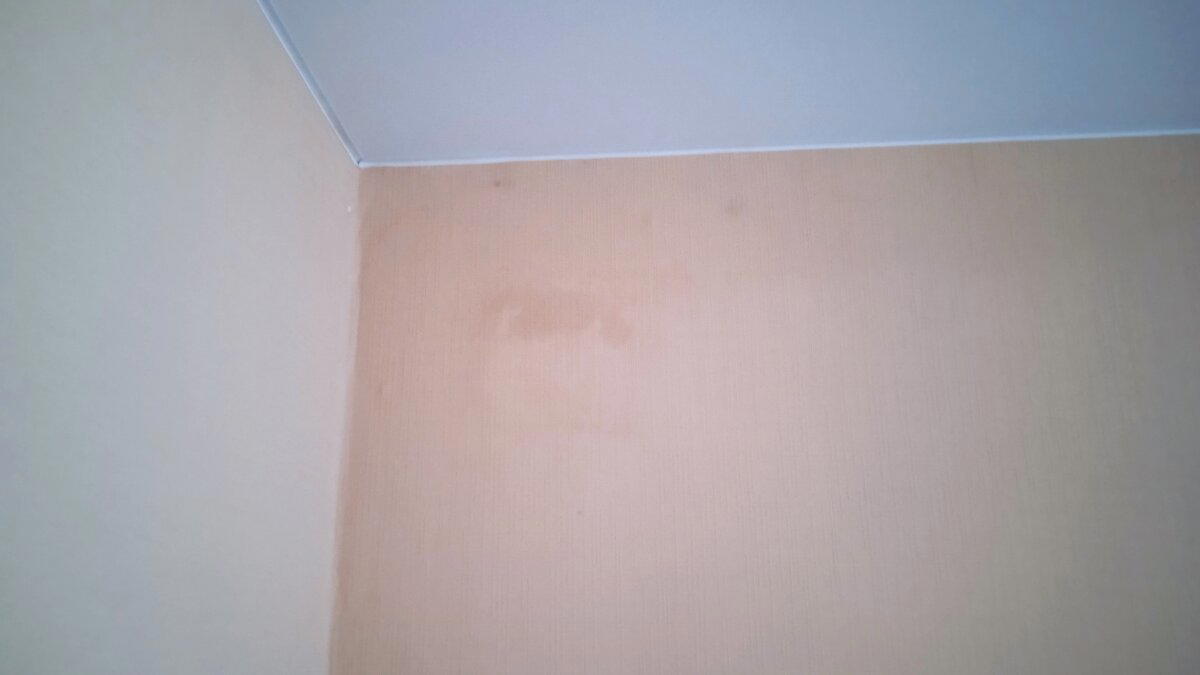 Пеноблок. Опять не Ok. Учимся считать длину ската кровли и высоту печной трубы