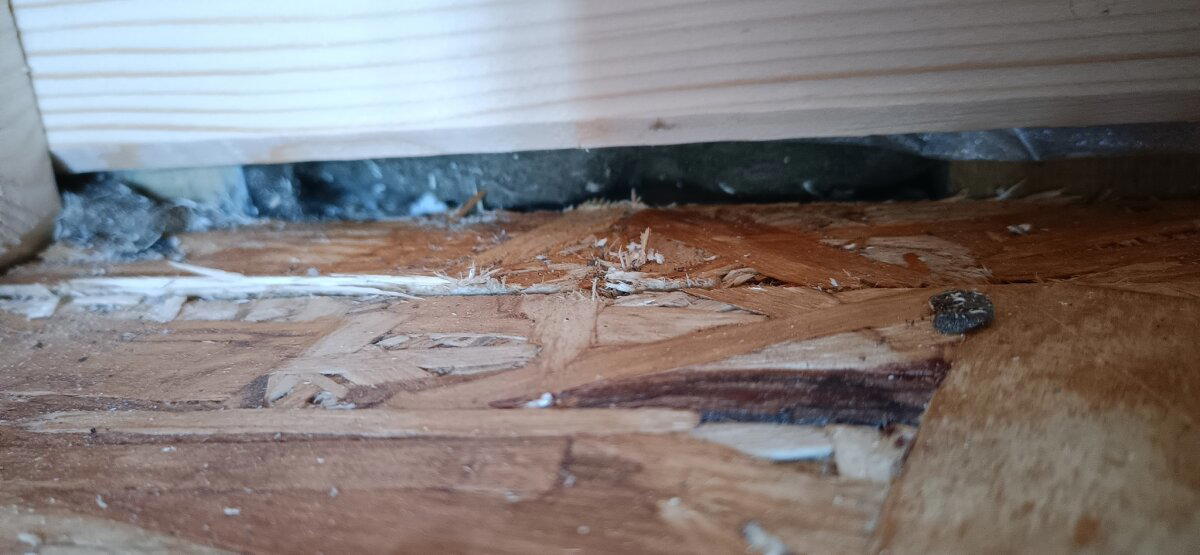 Какой-такой ендова? Один день из жизни технадзора