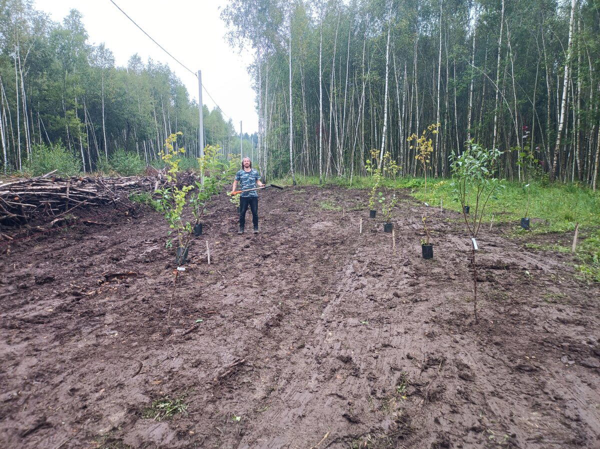 Как прошёл капиталистический субботник с Агрокультом