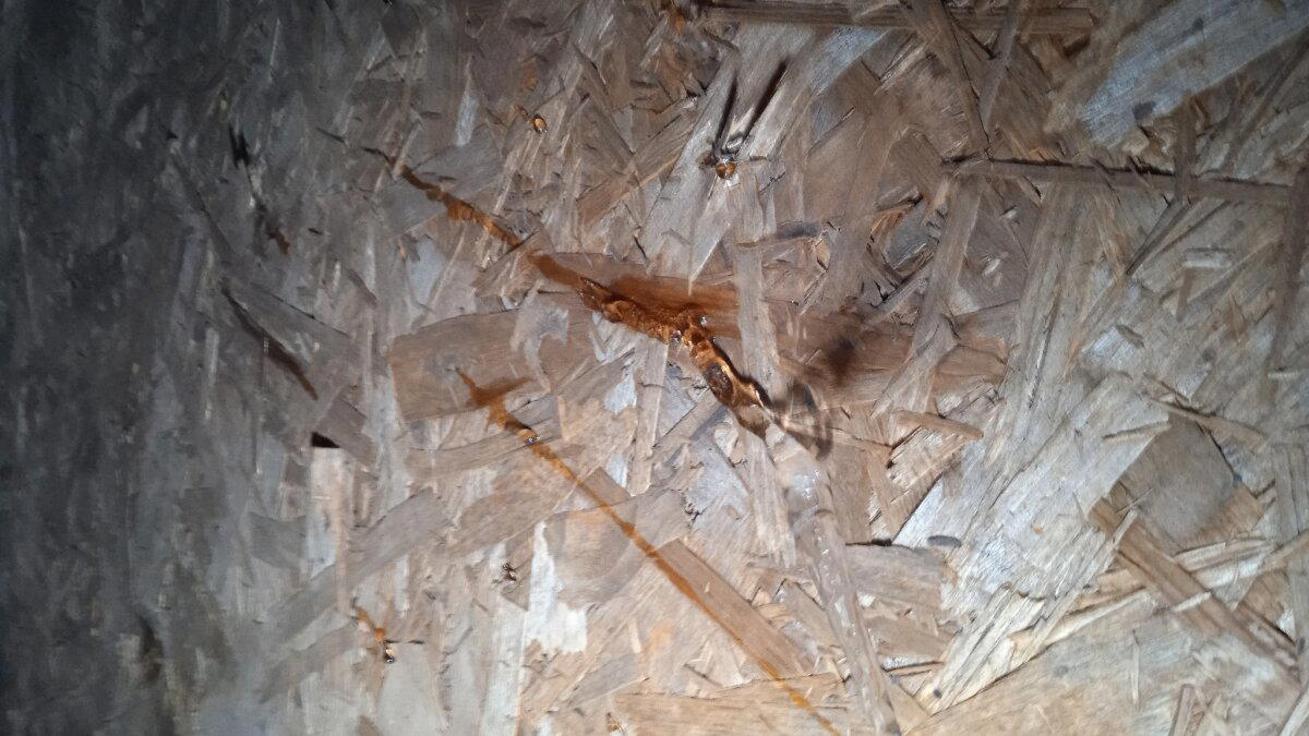 Дождь с потолка в загородном доме. Не покупайте дом без проекта!