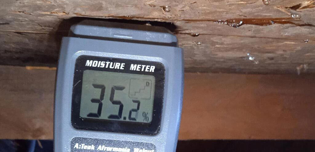 Добрый доктор Арболит. Почему я не строю дома из него