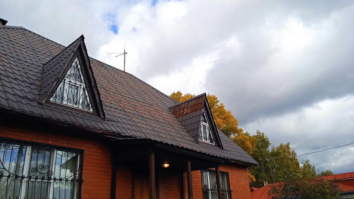 Все проблемы дома были решаемы, кроме проблем с риэлторами. Очередной технадзор суперщеледома