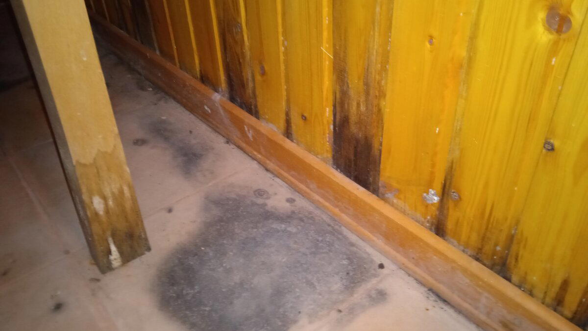 Все проблемы дома были решаемы, кроме проблем с риэлторами. Очередной технадзор суперщеледома