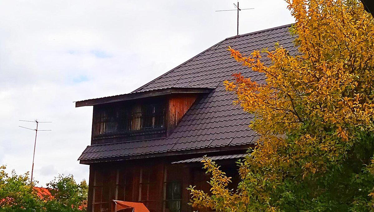 Все проблемы дома были решаемы, кроме проблем с риэлторами. Очередной технадзор суперщеледома