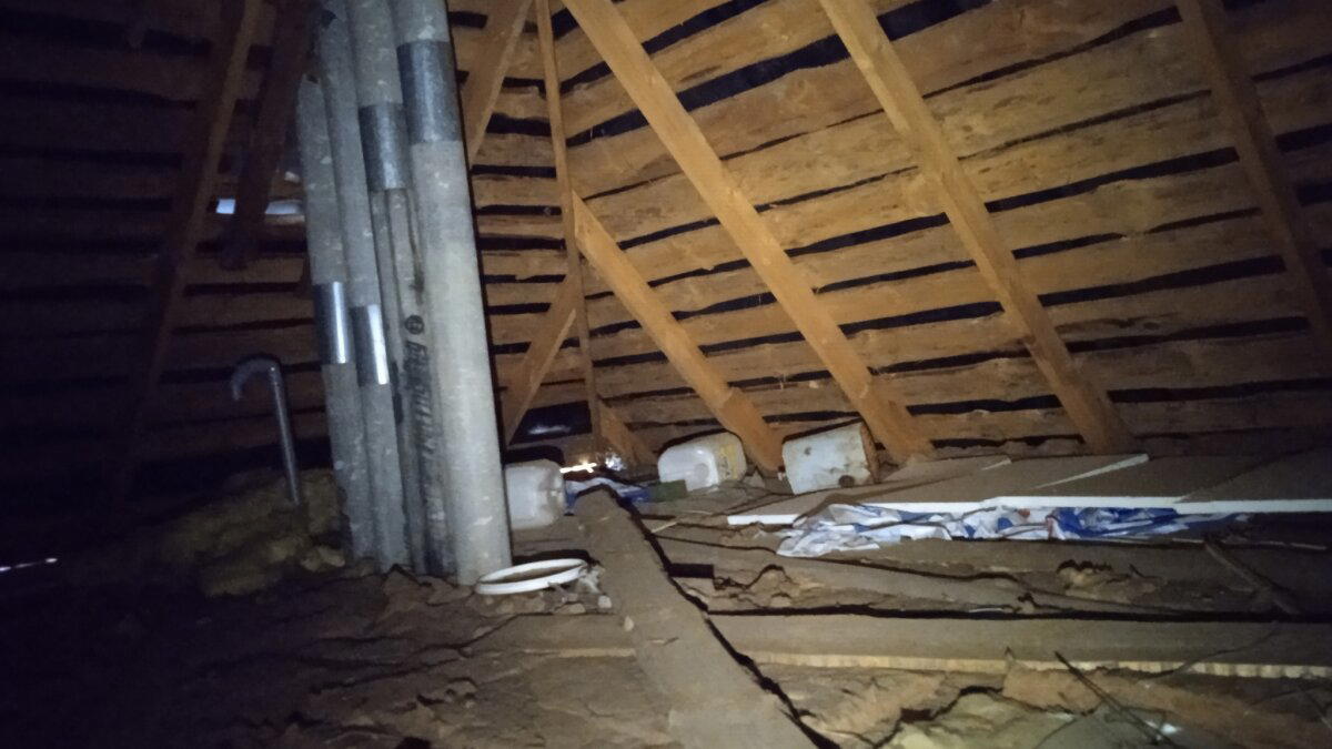 Все проблемы дома были решаемы, кроме проблем с риэлторами. Очередной технадзор суперщеледома