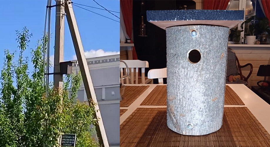 Увеличиваю популяцию птиц. И вам советую