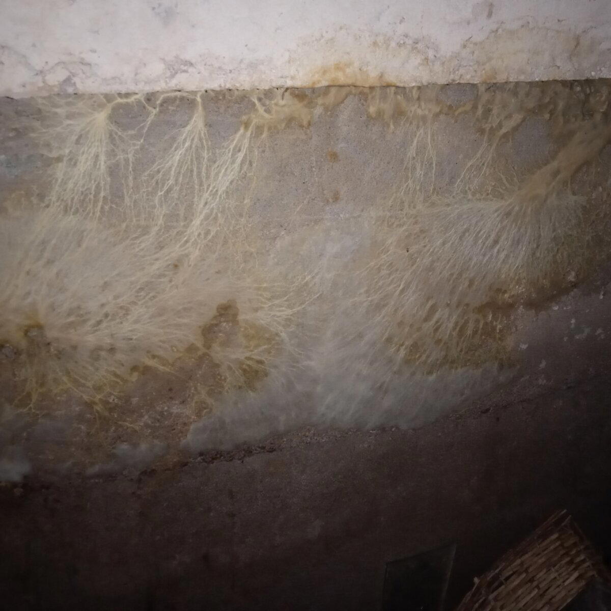 Тяжкое наследие СССР или технадзор 30-летней дачи