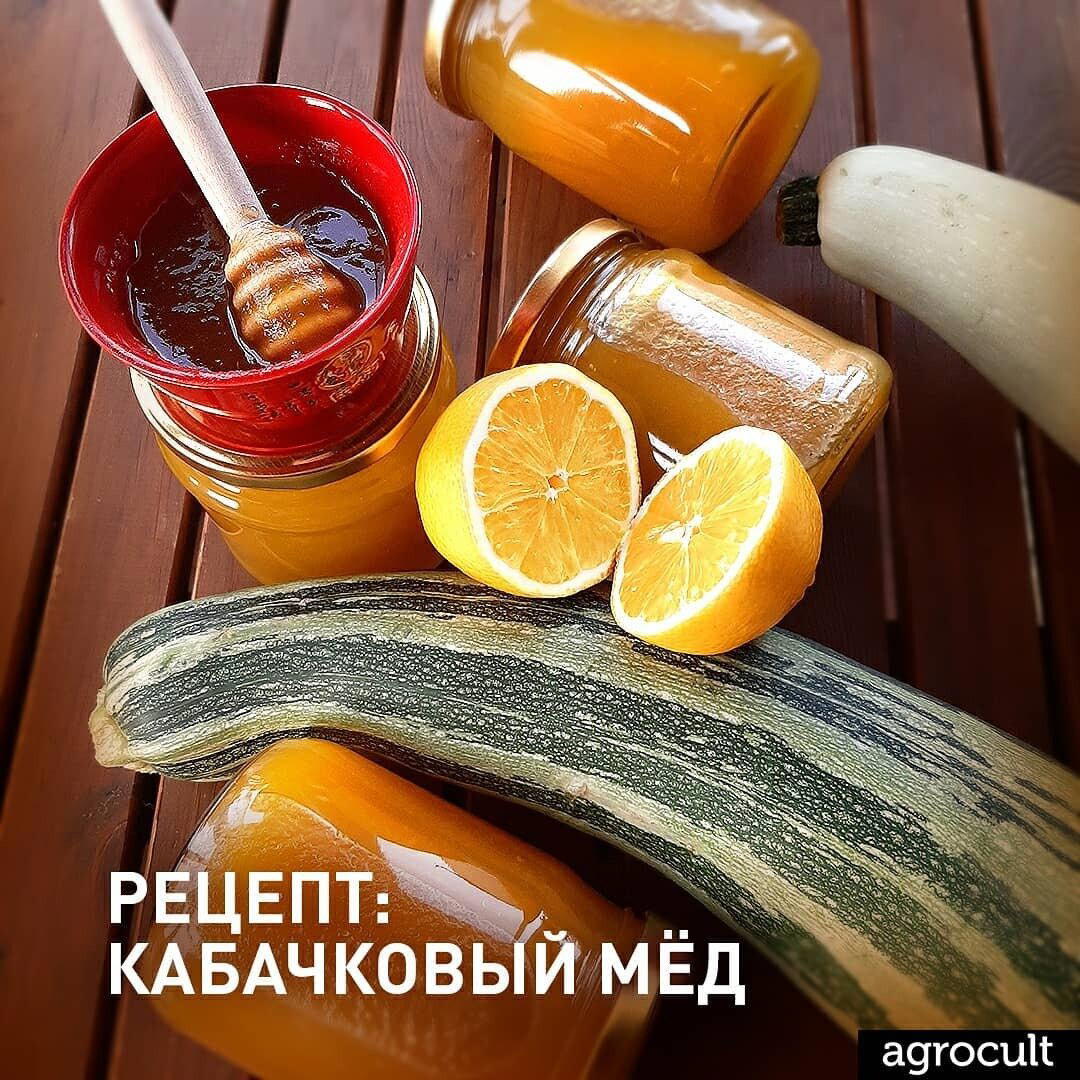 Руководство по кабачкам от Агрокульт