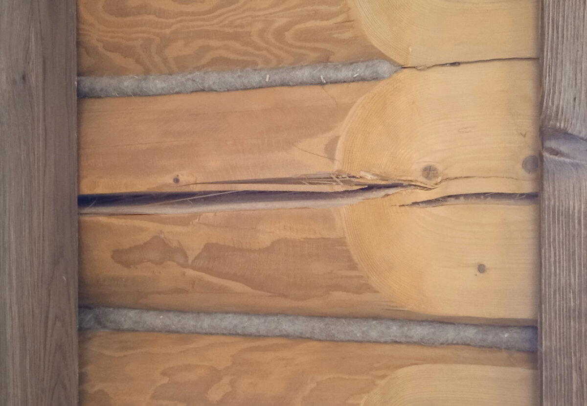 Щеледомное хозяйство. Очередной технадзор срубов с очень качественной рубкой