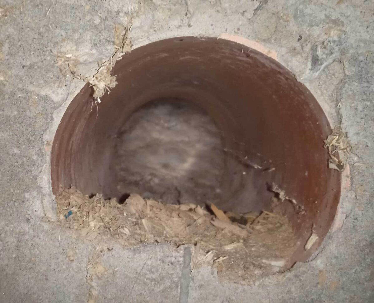 Щеледомное хозяйство. Очередной технадзор срубов с очень качественной рубкой