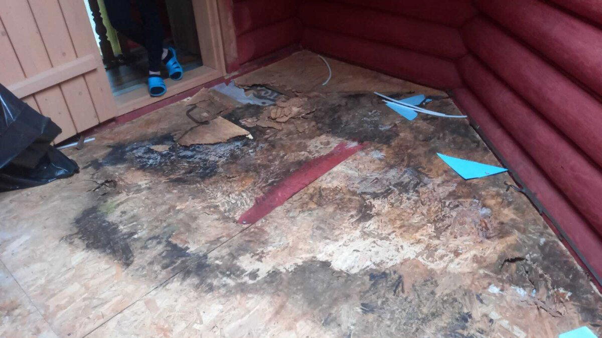 Щеледомное хозяйство. Очередной технадзор срубов с очень качественной рубкой