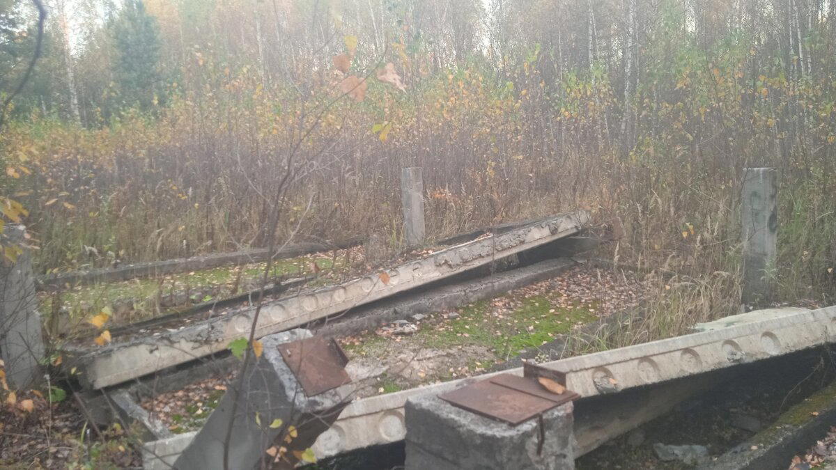 Дачный недострой, спинная грыжа и геморрой. История о том, что нужно правильно рассчитывать свои силы при строительстве