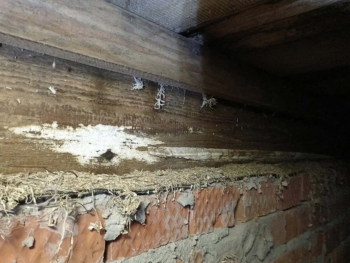 Осмотр деревенского самостроя. Типичные проблемы дачных домов