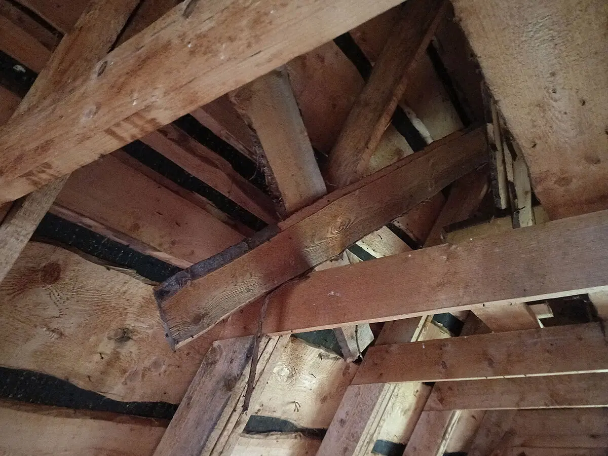 Осмотр деревенского самостроя. Типичные проблемы дачных домов