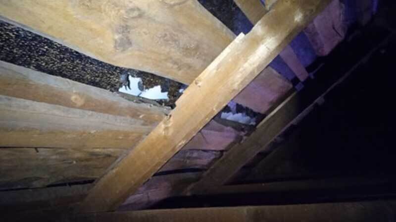 Полы дома сгнили из-за дыры в крыше. Отчёт о технадзоре