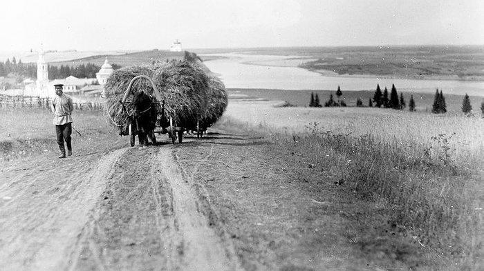 Крестьяне государству не нужны!