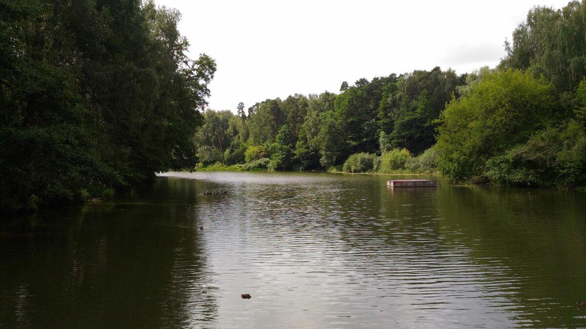 Да в какой деревне ты живёшь? Это же субурбан!