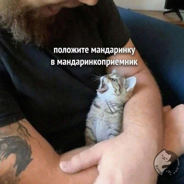 Субботняя дичь, не пресная