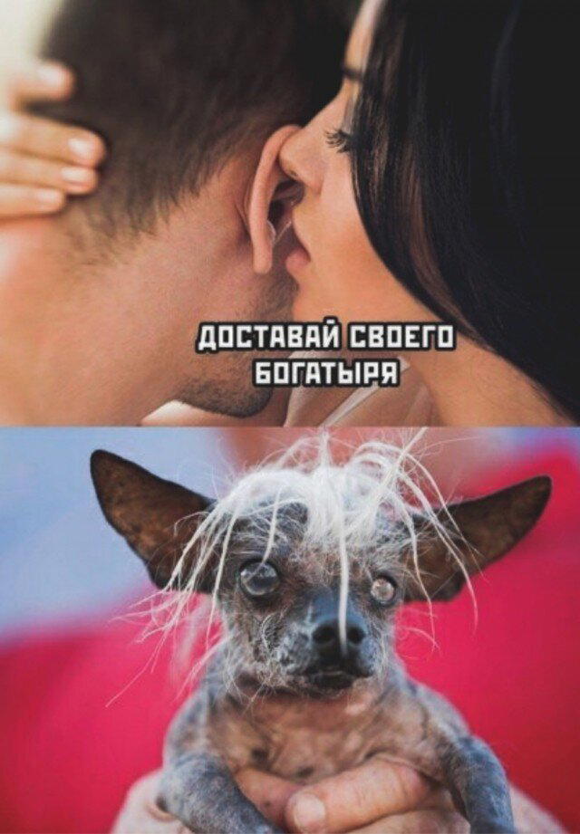 Субботняя дичь, не пресная