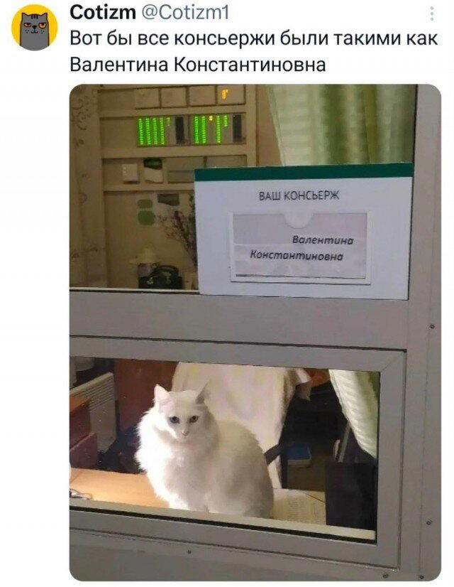 Субботняя дичь, не пресная