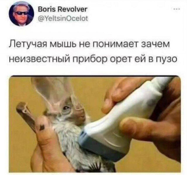 Субботняя дичь, не пресная