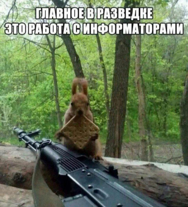 Субботняя дичь, не пресная