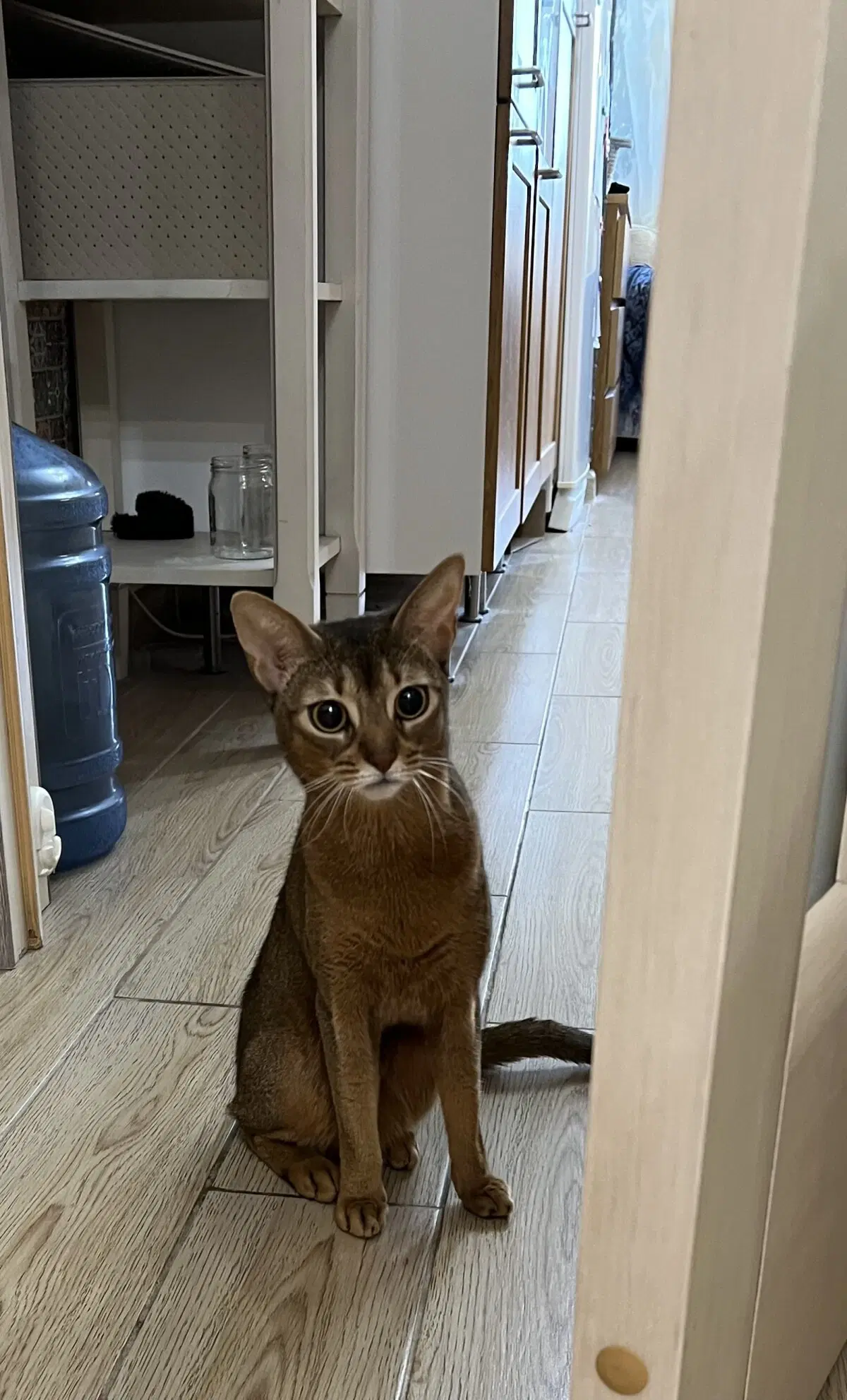 История одного рукодельного факапа