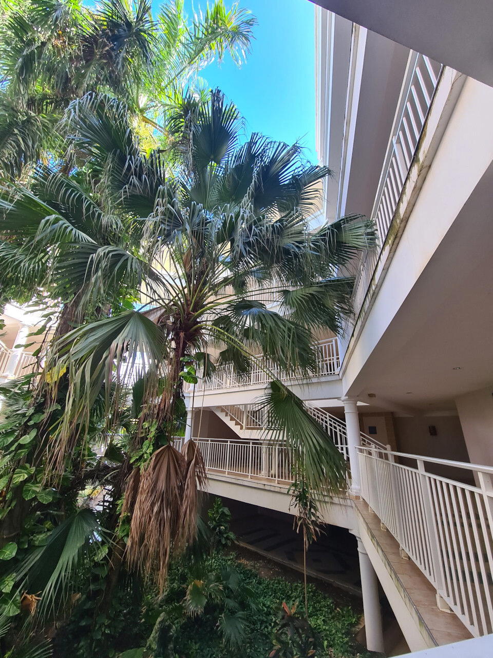 The Rolling Stones — Jumpin' Jack Flash / Куба'2025 (3)